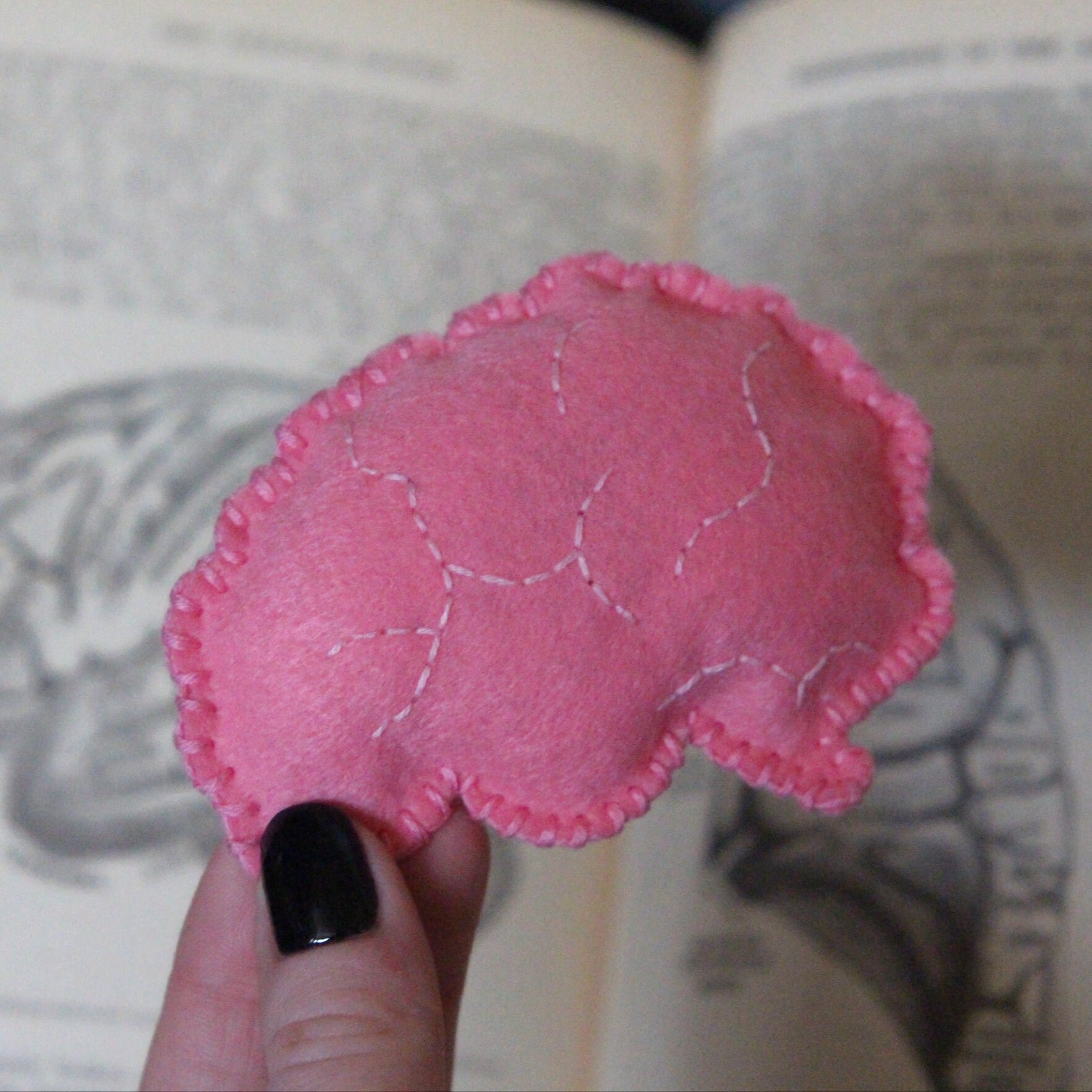 Anatomical Brain Catnip Cat Toy - Anatomy Medical Cat Toy Halloween, Science Cat Toy, Handmade & Vegan, Pink Alternative Cat Gift