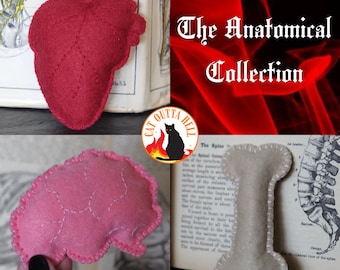The Anatomical Collection of Catnip Cat Toys, Anatomy Heart, Brain, Bone Handmade & Vegan - 3 Toy Bundle!