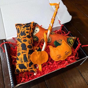 Peut inclure: Un ensemble de jouets pour chat sur le thème d'Halloween dans une boîte avec du papier déchiqueté rouge et blanc. L'ensemble comprend un jouet à baguette avec une citrouille, un jouet à chatnip avec des chats noirs et des citrouilles, et un jouet en feutre pour chat avec de la fourrure orange.