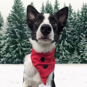 Christmas Red & White Dog Scarf Handmade/ Warm Jersey Scarves Pet Neckwear | Xmas Gifts for Dogs /Christmas Dog Scarf with Pom Poms