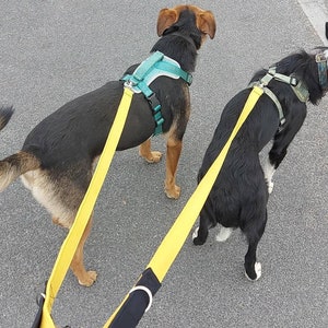 Hands Free Hundeleine, Leine für Hundespaziergänge, Mehrwege-Hundeleine, Hanf-Haustierzubehör, wasserdichte Leine, Haustierzubehör, Leine für mehrere Hunde