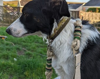 Hemp Rope Dog Lead: Natural Vegan Leash with Carabiner