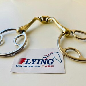 May include: A silver horse bit with a jointed mouthpiece and two loose rings. The rings have multiple cutouts.