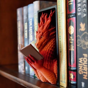Può includere: Un fermalibri a forma di drago rosso che legge un piccolo libro, posto tra una fila di libri su una mensola di legno. Il drago è dettagliato, con squame e un'espressione concentrata. I libri hanno vari colori e titoli.