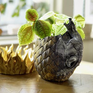Puede incluir: Una maceta decorativa con forma de dragón con un exterior texturizado y escamoso, que contiene una planta verde. Junto a ella, un cuenco dorado con forma de llama. Ambos están sobre una mesa de madera, creando una exhibición de inspiración fantástica.