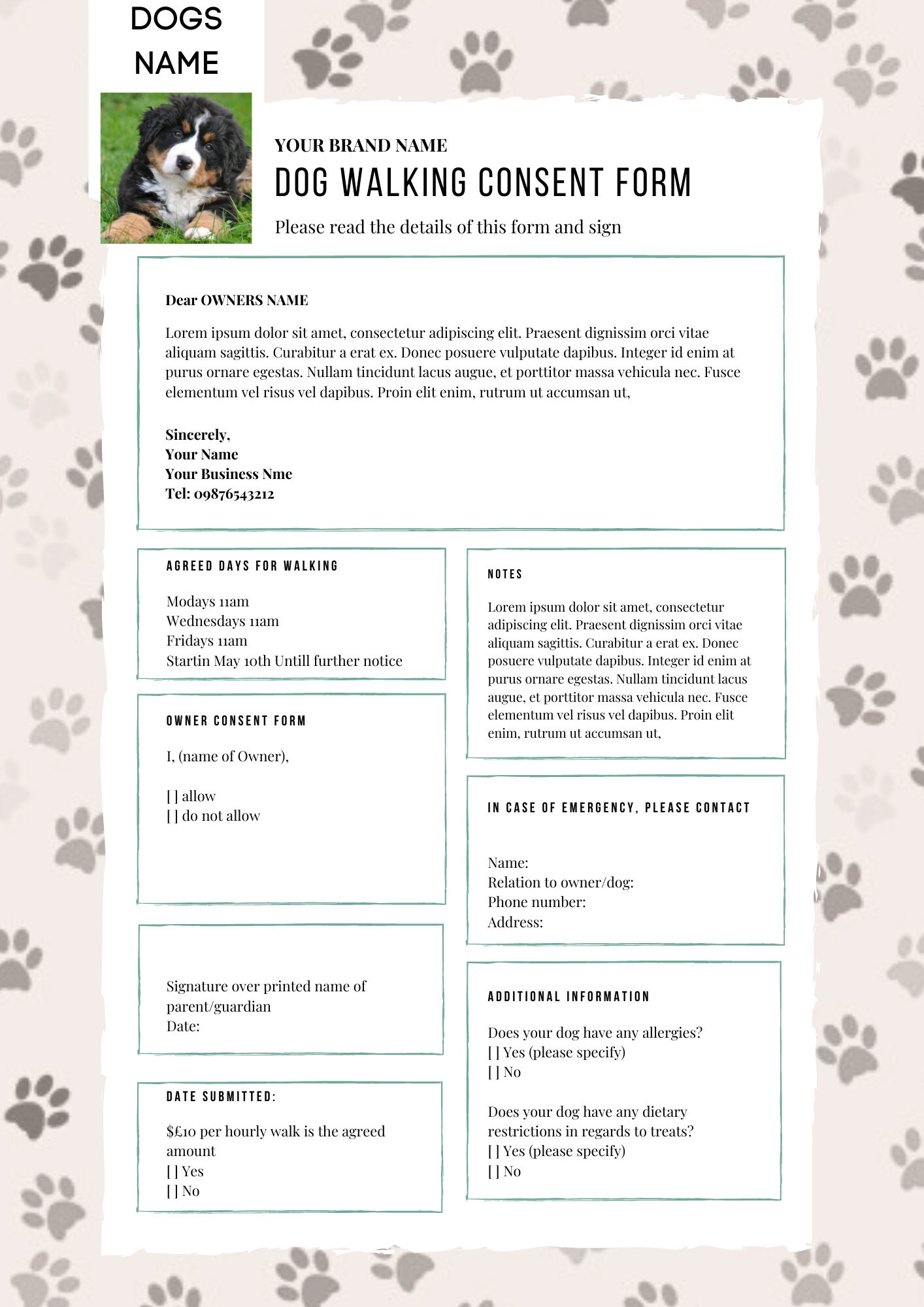 Dog Walking Consent Form Pet Care Form Dog Printable Etsy