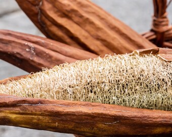 Natural Luffa Sponge - Loofah Kitchen Scrubber -  Homegrown, Biodegradable Loofah, eco friendly, plastic free