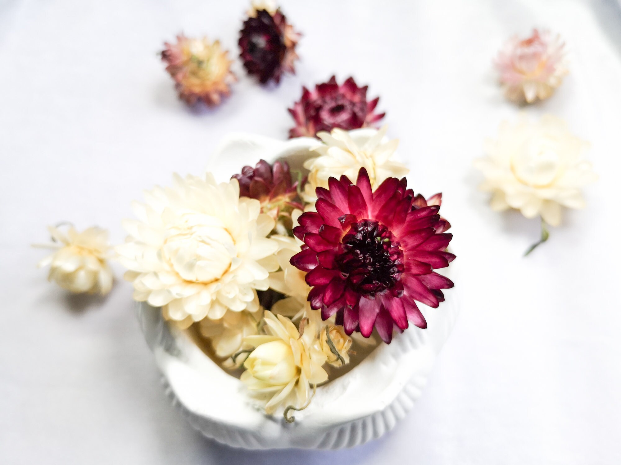 30 Real Dried Flowers Helihrizum Dry Strawflower Heads Mini Etsy