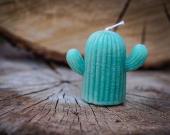 Hadmade Cactus Candles, cactus decoration, decorative candles, cactus lovers