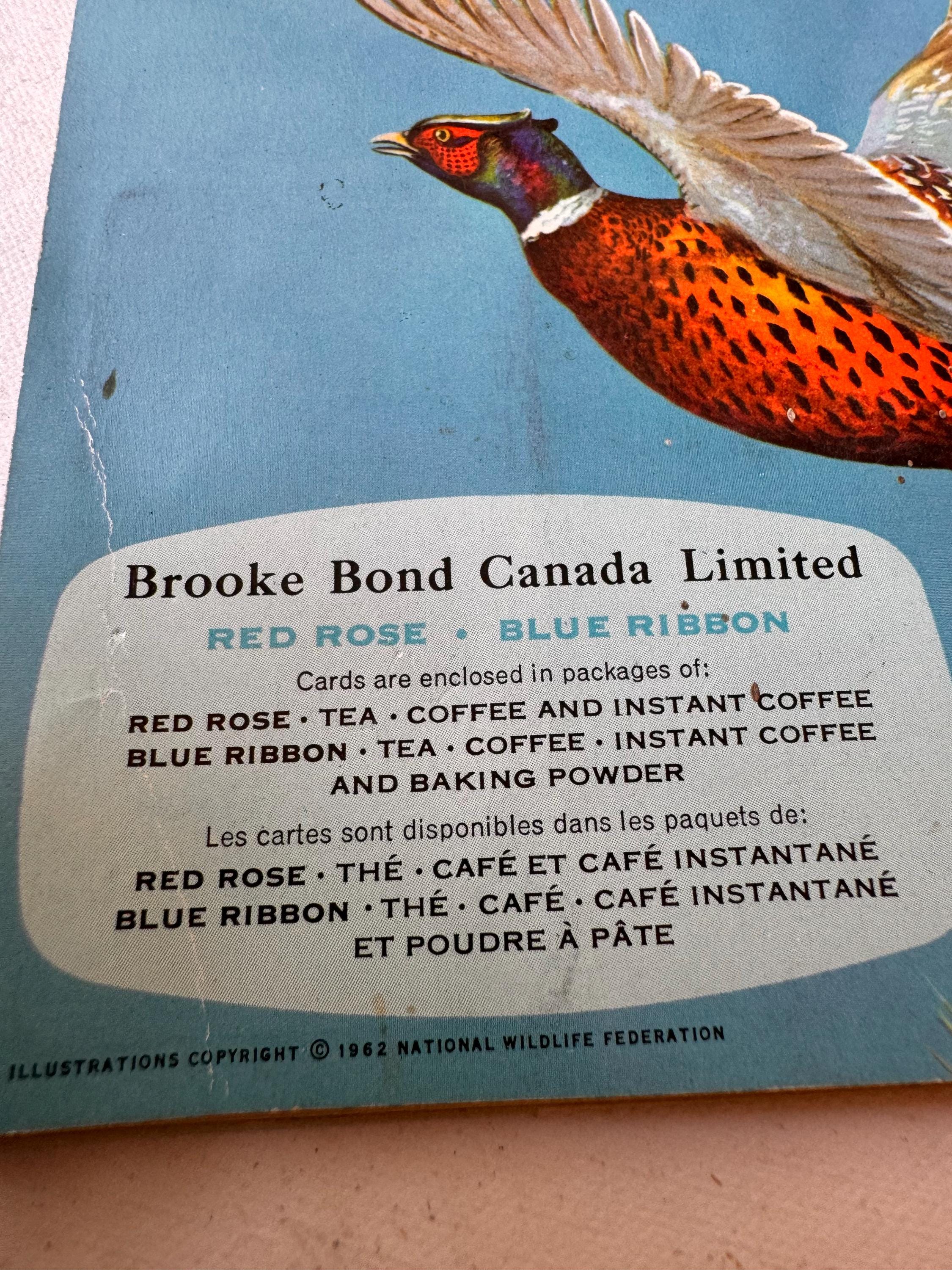Vintage 1962 Birds of North America Album No. 4 With Red Rose Tea