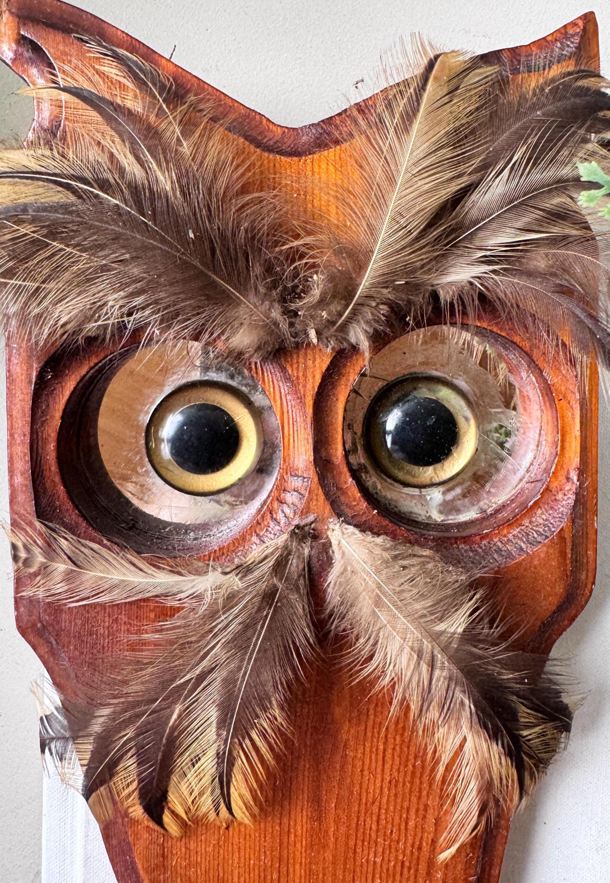 Vintage 1970s Owl Shelf Wall Hanging With Feathers, MCM Mid