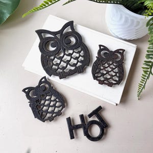 Pode incluir: Uma coleção de quatro itens decorativos em ferro fundido. Três trivets em forma de coruja e uma peça separada que soletra "HOT" em letras maiúsculas. Os itens são marrons escuros e ficam em uma superfície branca com vegetação ao fundo.
