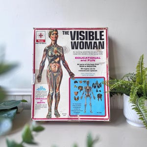 Vintage 1960s Renwal Visible Woman Kit, MCM Mid Century