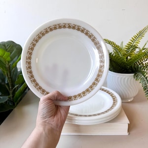 Conjunto de 4 pratos de restaurante vintage Pyrex Tiburon da década de 1970, louça MCM de meados do século de 9,5&quot;, bolota dourada, vidro leitoso, compatível com Corelle