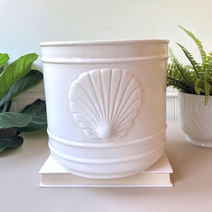 May include: A white ceramic planter with a seashell design. The cylindrical pot has a glossy finish and a raised seashell motif on the front. The planter is sitting on a stack of books and is surrounded by greenery.
