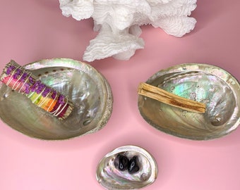 Sacred Abalone Shell, Natural Smudge Bowl, Crystal Holder