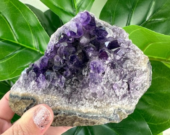 Large Amethyst Cluster- Choose Your Own