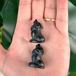 Könnte beinhalten: Zwei schwarze Obsidian-Wolf-Figuren, die in sitzender Position geschnitzt sind. Der Wolf links heult mit dem Kopf nach hinten geneigt. Der Wolf rechts sitzt mit gesenktem Kopf.