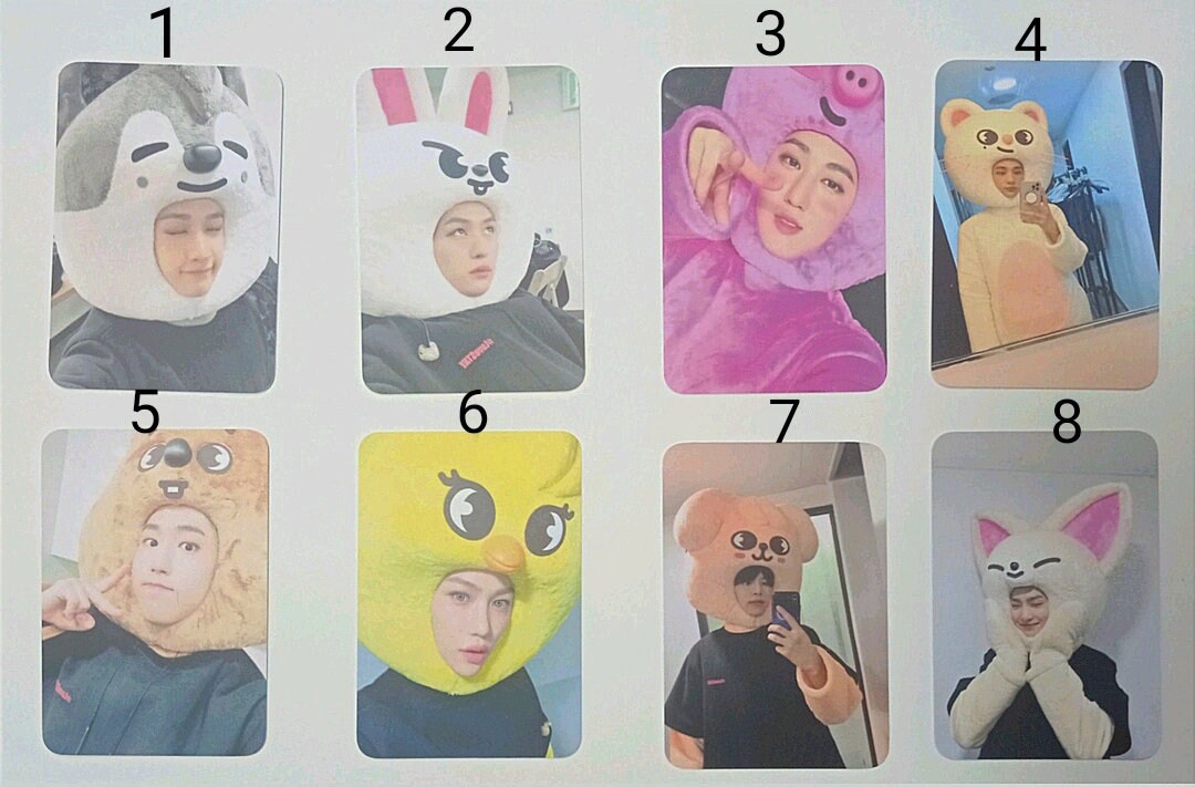 Stray Kids Skzoo 8 Photocards - Etsy