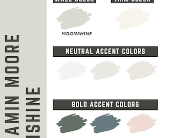 Moonshine Benjamin Moore whole home color palette - interior paint palette