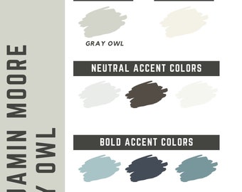 Gray Owl Benjamin Moore whole home color palette - interior paint palette