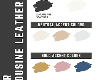 Limousine Leather Benjamin Moore whole home color palette - interior paint palette