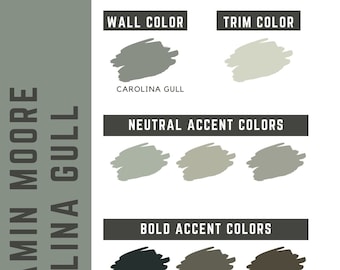 Carolina Gull Benjamin Moore whole home color palette - interior paint palette
