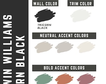 Tricorn Black Sherwin Williams whole home color palette - interior paint palette