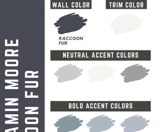 Raccoon Fur Benjamin Moore whole home color palette - interior paint palette