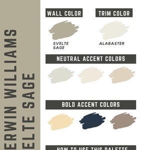 Svelte Sage Sherwin Williams whole home color palette - interior paint palette