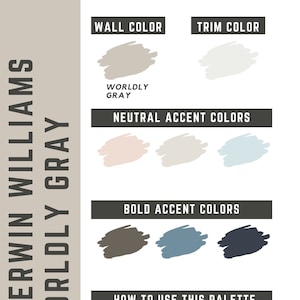 Worldly Gray Sherwin Williams whole home color palette - interior paint palette