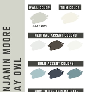 Gray Owl Benjamin Moore whole home color palette - interior paint palette