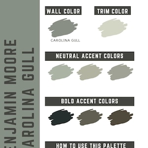 Carolina Gull Benjamin Moore whole home color palette - interior paint palette