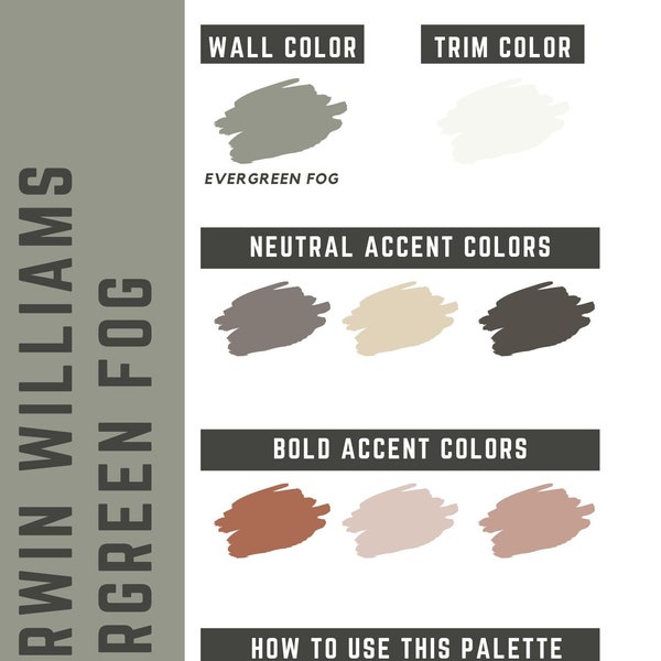 Palette de couleurs pour toute la maison Evergreen Fog Sherwin Williams - Palette de peinture d'intérieur