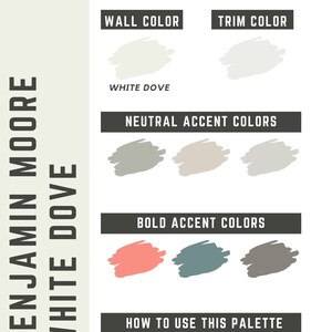 White Dove Benjamin Moore whole home color palette - interior paint palette