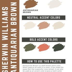 Antiquarian Brown Sherwin Williams whole home color palette - interior paint palette