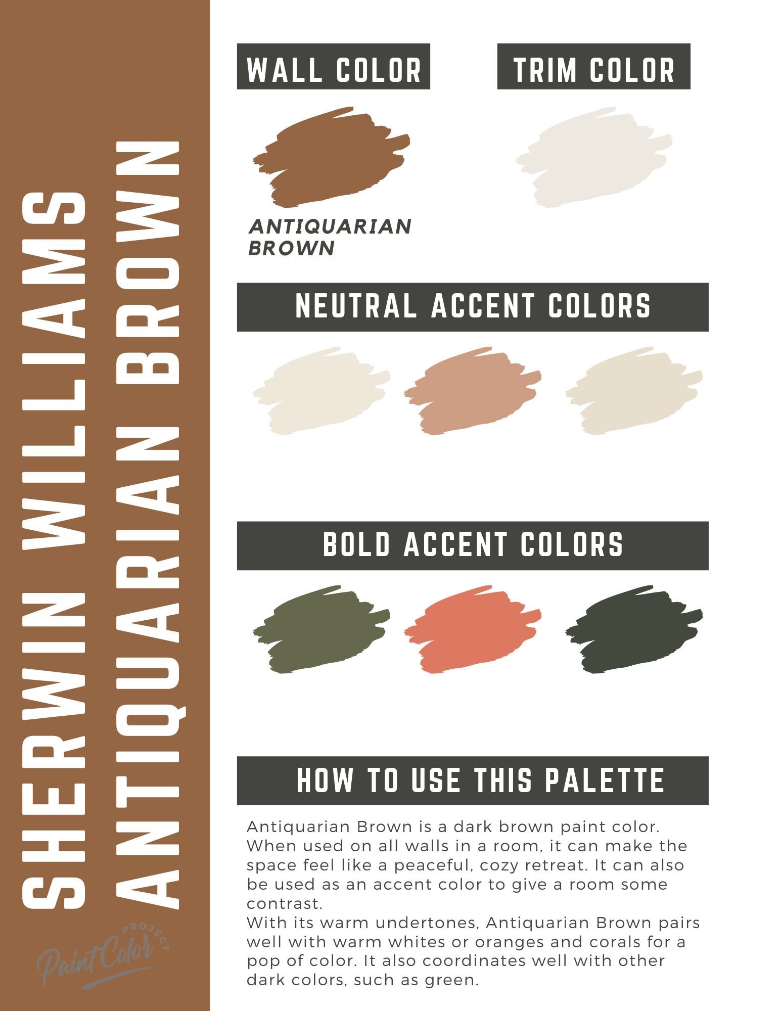 Brown discount paint palette