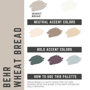 May include: A set of three ceramic mugs with a speckled, matte finish. The mugs are in shades of cream, light brown, and dark brown. Each mug has a simple, minimalist design and a rounded handle. The mugs are likely for coffee or tea.