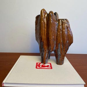 Puede incluir: Una escultura de cerámica marrón con un efecto de esmalte texturizado y goteado. La escultura tiene una forma orgánica y está sobre un libro con un logotipo rojo. La altura de la escultura es de aproximadamente 15 cm.