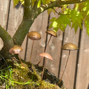 May include: Five small, copper-coloured mushroom sculptures are arranged on a bed of moss. The sculptures are made of metal and have a realistic appearance.