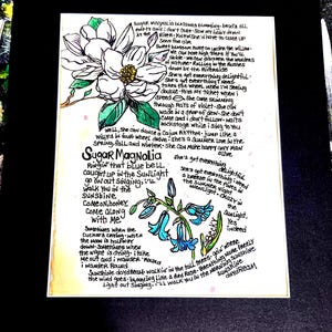 May include: Hand-drawn artwork featuring a magnolia flower and bluebell flowers with handwritten song lyrics. The text includes the words "Sugar Magnolia" and "Sunshine daydream". The artwork is on a white background.