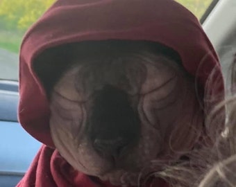 Cat hoodie