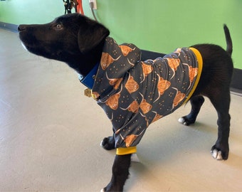 The Evo small dog hoodie