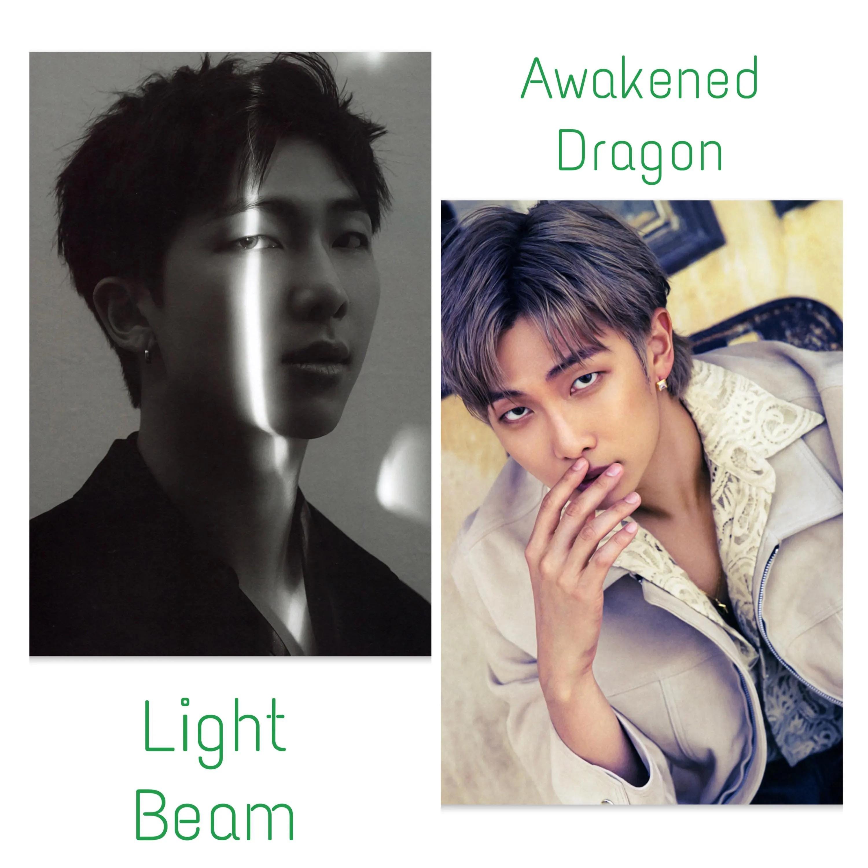 BTS の RM Me, Myself & RM 'Entirety' フォトフォリオ 手作り非公式