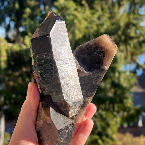 LARGE Hallelujah Junction Smoky Quartz Crystal Cluster from Nevada