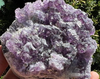 Large Yindu Purple Fluorite Cluster from Inner Mongolia, China