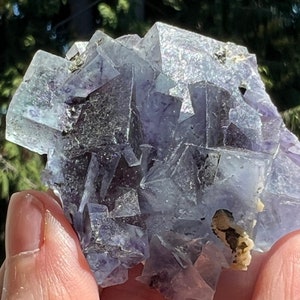 Yindu Blue/Purple Fluorite Cubes on Matrix from Inner Mongolia, China