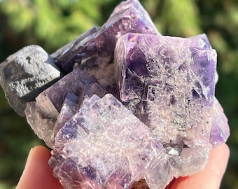 May include: A cluster of purple fluorite crystals with a grey mineral inclusion. The crystals are cubic in shape and have a translucent appearance.