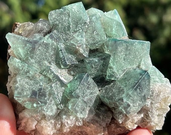 Peut inclure: Un groupe de cristaux de fluorine verte sur une matrice de roche grise. Les cristaux sont nets et bien définis, avec un éclat vitreux.