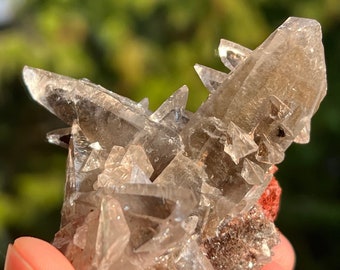Puede incluir: Un grupo de cristales de cuarzo ahumado con una base marrón rojiza. Los cristales son translúcidos y tienen una forma puntiaguda.